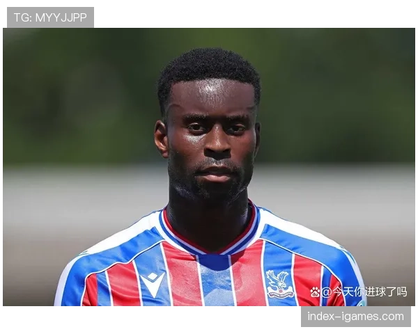 事件脉络:水晶宫连续五场零封,格拉斯纳的防守改造初见成效 事件脉络:水晶宫连续五场零封,格拉斯纳的防守改造初见成效